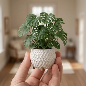 Op de afbeelding: Een miniatuur Monstera-plant in een pot met diepgroene, geperforeerde bladeren. De plant staat in een kleine, witte, bolvormige keramische pot met een geometrische, gefacetteerde textuur en rust op drie kleine, bruine, cilindrische houten pootjes.