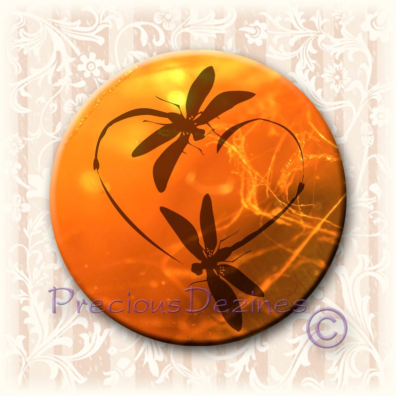 Dragonfly in Amber button. 2.25 round pin back button, magnet, pocket mirror, keyring/bottle opener. Dragonfly Love image 1