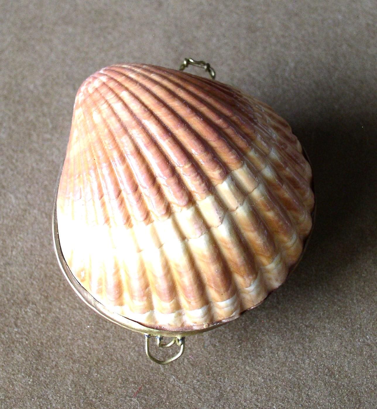 Vintage shell box - Etsy 日本