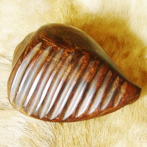 Ironwood Seashell- Hand Carved ...