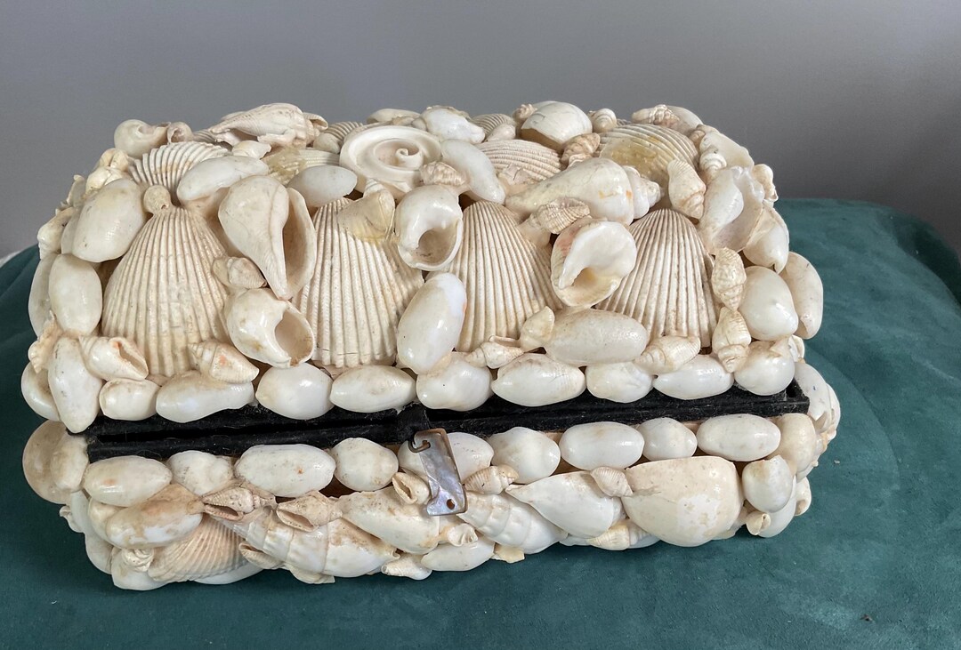 Handmade White Sea Shells Jewelry Box Domed Top - Etsy