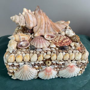 May include: A decorative box covered in various seashells, including conch shells, scallops, and smaller, rounded shells. The box features a large, light brown conch shell on top and is adorned with a variety of colors and textures.