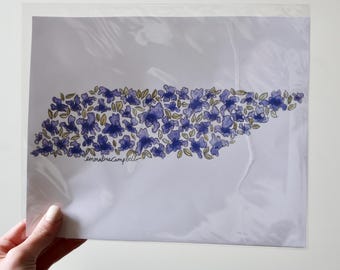Tennessee State Flower Print