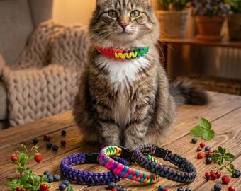 Custom Paracord Cat Collar — Breakaway Buckle Option | Safety Kitten Collar | Forest Berries Colors