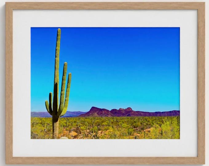 Featured listing image: Saguaro Cactus Photography Wall Art (Unframed and Framed)
