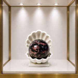 Conjunto único de concha de Venus blanca con bola de cristal de rodonita rosa – Decoración costera coleccionable en negro y rosa para el hogar