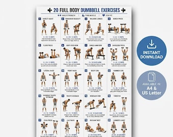 Ganzkörper-Kurzhantel-Trainingstabelle PDF | Home Kurzhantel-Übungen | Anfänger Krafttraining für Männer
