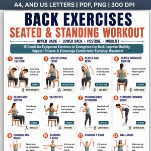 Printable Back Exercises Seated and Standing Workout | Strength, Mobility and Stretching Moves |  Upper and Lower Back Home Workout Chart