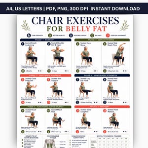 Ejercicios en silla para reducir la grasa abdominal (PDF imprimible), entrenamiento abdominal sentado para mujeres, fitness de bajo impacto en silla, tabla de ejercicios sin equipo
