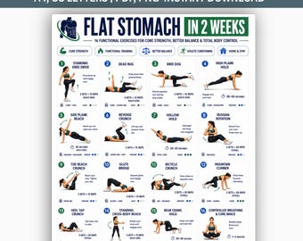 Flat Stomach in 2 Weeks Printable PDF, 14 Day Ab Challenge, Belly Fat Loss Workout, Core & Lower Abs Exercises, Home Fitness Plan for Women