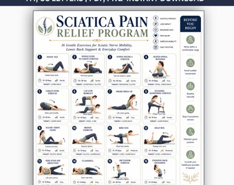 Sciatica Pain Relief Exercises Printable PDF, Lower Back Stretch Routine, Sciatic Nerve Glide, Hip & Piriformis Stretches Guide