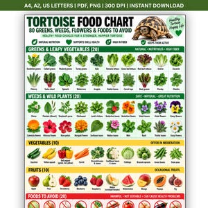 Può includere: Un poster digitale con una tabella alimentare per tartarughe, raffigurante un'immagine di tartaruga e liste categorizzate di verdure, erbe, fiori, frutta e cibi da evitare, con etichette testuali per ogni elemento presente nel grafico.