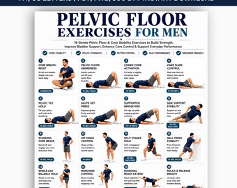 Exercícios para o assoalho pélvico para homens (PDF para imprimir), 16 exercícios de Kegel, controle da bexiga e fortalecimento do core, pôster sobre saúde pélvica.