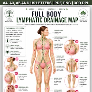 May include: A full body lymphatic drainage map educational chart featuring a central human figure with green lymphatic pathways highlighted. The poster includes text labels for nodes, numbered diagrams for specific body areas, and wellness information.