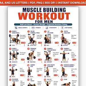 Op de afbeelding: Een digitaal trainingsschema getiteld Muscle Building Workout for Men met zestien genummerde oefenillustraties, waaronder bankdrukken, incline dumbbell press, lat pulldown, seated cable row, squats, deadlifts en diverse curls.
