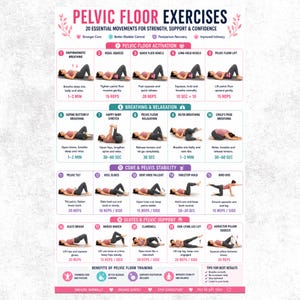 May include: A white instructional poster titled Pelvic Floor Exercises featuring 20 numbered illustrations of various physical movements. Each section includes text descriptions, repetition counts, and time durations for exercises like breathing, stretches, and core stability.