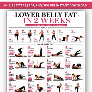 Könnte beinhalten: Ein digitaler Trainingsplan mit dem Titel LOWER BELLY FAT IN 2 WEEKS, der eine 14-tägige Herausforderung für den unteren Bauchbereich darstellt. Das Dokument enthält nummerierte Illustrationen verschiedener Übungen mit Anleitungen.