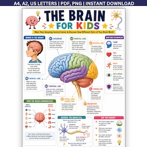 Brain for Kids Poster Printable, Brain Parts & Functions Anatomy Chart, Human Body Science, Homeschool Classroom Educational PDF Wall Art