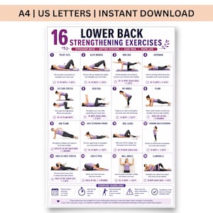 Op de afbeelding: Een digitale poster getiteld 16 Lower Back Strengthening Exercises met zestien genummerde illustraties van een persoon in paarse sportkleding die verschillende bewegingen uitvoert, met tekstinstructies en algemene richtlijnen.