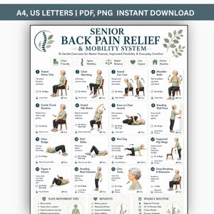 May include: A digital poster titled Senior Back Pain Relief & Mobility System featuring 16 illustrated exercises for seniors. The chart includes numbered steps, icons for chair-friendly and low-impact movements, and text detailing routines for posture.