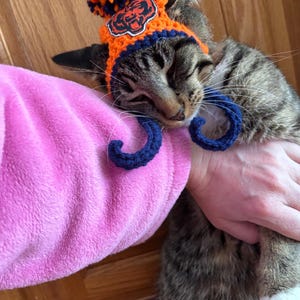 May include: A tabby cat wearing a handmade orange and navy blue crochet hat with a pom-pom and a team logo. The cat also has matching blue crochet accents. The cat is resting on a pink surface.