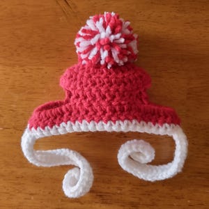 May include: A handmade crochet pet hat in red with a white trim and a white and red pom-pom on top. The hat has two white curly accents on each side. The hat is designed to fit a small pet.