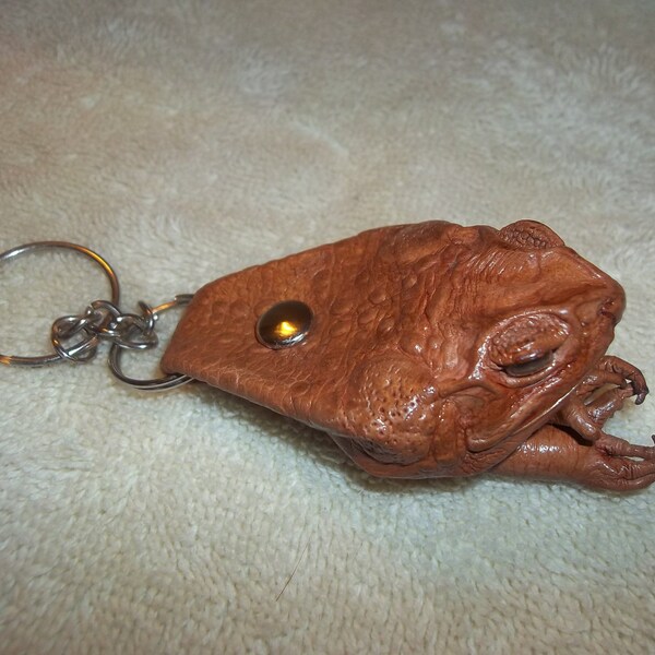 Real animal tanned leather Cane toad Frog Key chain part car gift amphibian weird sick gift