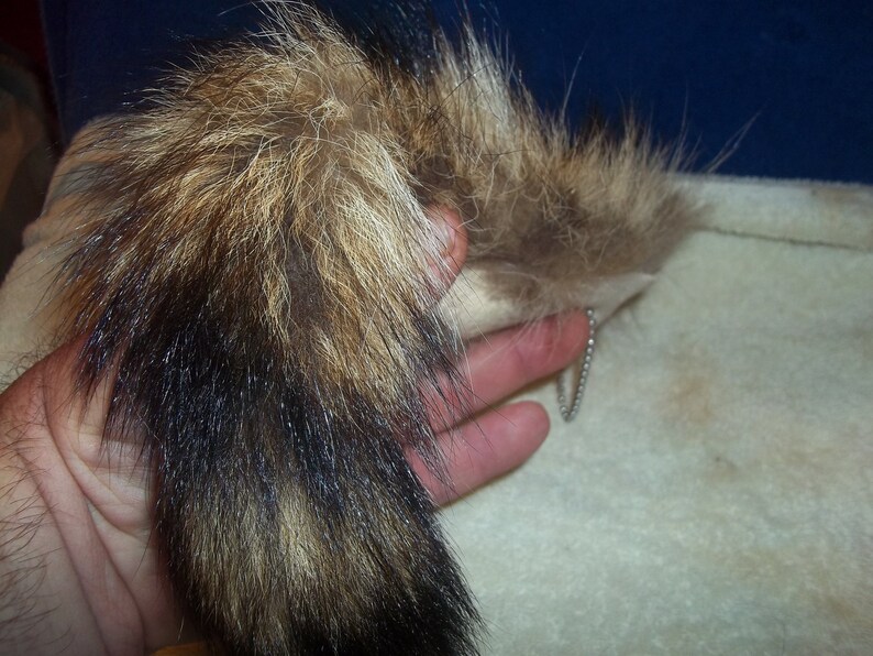 how to skin a coon for fur how to skin a coon for fur