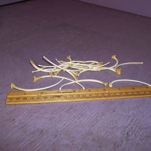 May include: A collection of small, curved, off-white bones, possibly wishbones, are scattered on a purple surface. A wooden ruler with inch markings lies next to the bones, providing scale. The bones have a slightly yellowed appearance.