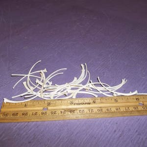 May include: A collection of small, white, curved plastic pieces, possibly craft supplies, are scattered on a purple surface. A wooden ruler, marked in inches, lies along the bottom, indicating size. The ruler measures up to 12 inches.