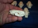 1 Real mink animal bone skull skeleton parts teeth collection craft man cave supplies 