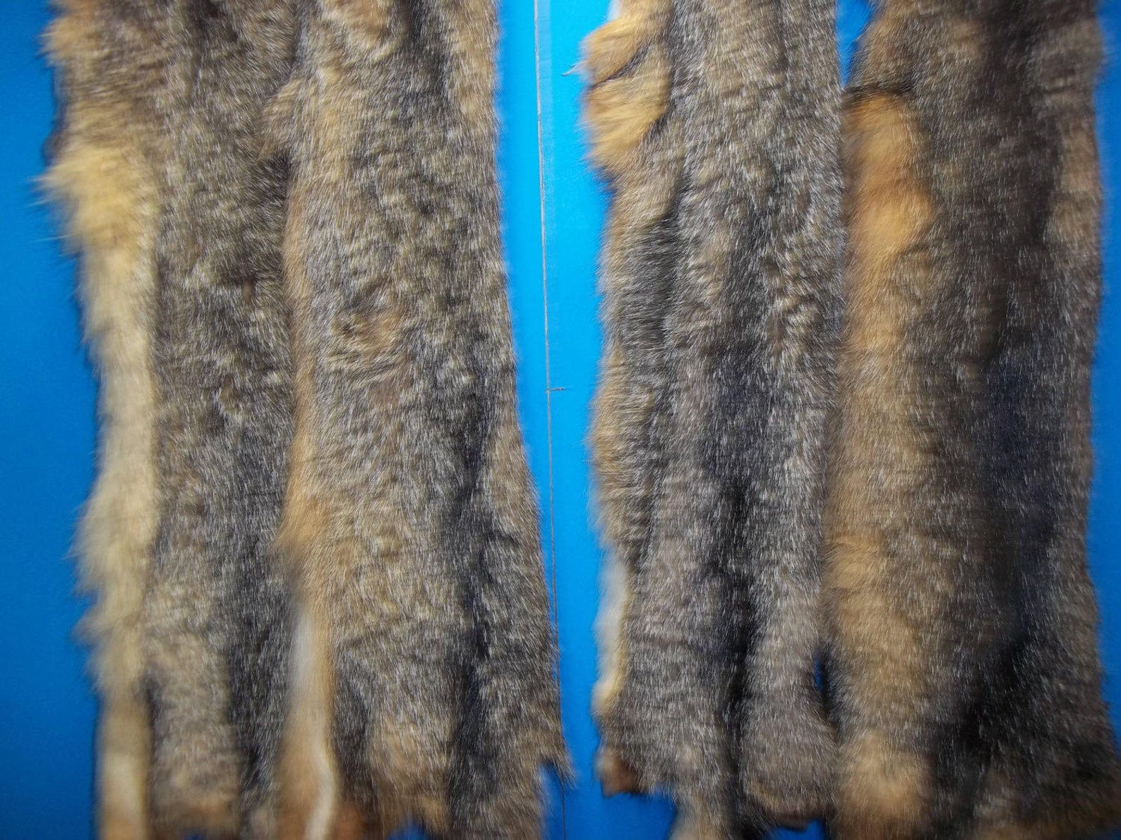 1 Tanned Gray Fox Fur Hide Pelt Real Animal Skin Taxidermy Rug Etsy