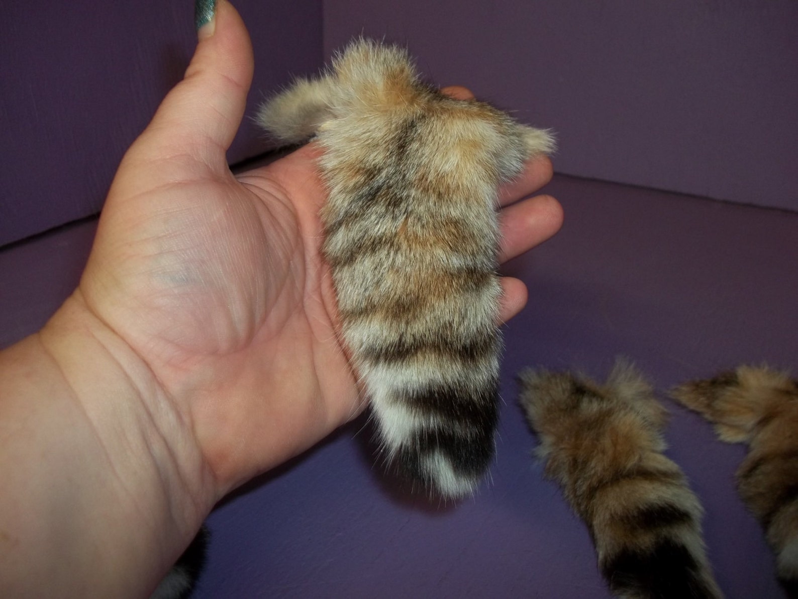 Real Animal Part Tanned Bobcat Tail Fur Pelt Skin Part Etsy