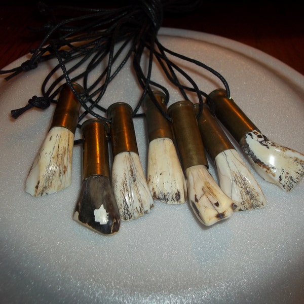 1 real buffalo tooth animal bone part bullet weird taxidermy jewelry necklace