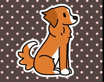 Duck Toller Cute Sticker
