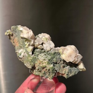 May include: A mineral specimen featuring clusters of off-white, crystalline formations atop a green and brown matrix. The specimen is mounted on a clear acrylic stand, showcasing its natural beauty. The label on the stand is partially visible.