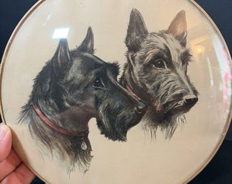 Vtg 40s Convex Glass Bubble Glass Picture Peter Watson Studios Scottish Terrier