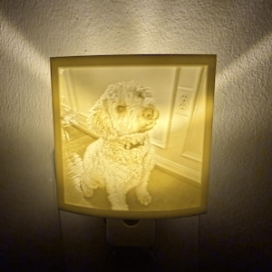 Peut inclure: Veilleuse avec une image 3D d'un chien moelleux. Le chien est assis, portant un collier. La lumière émet une lueur jaune chaude. La veilleuse est branchée sur une prise électrique.