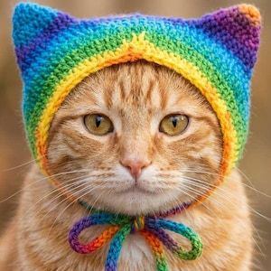 May include: A ginger cat wearing a rainbow-colored crochet hat with ear flaps and a matching bow tie. The hat's colors transition from blue to purple, with yellow and orange accents. The cat has yellow eyes and a neutral expression.