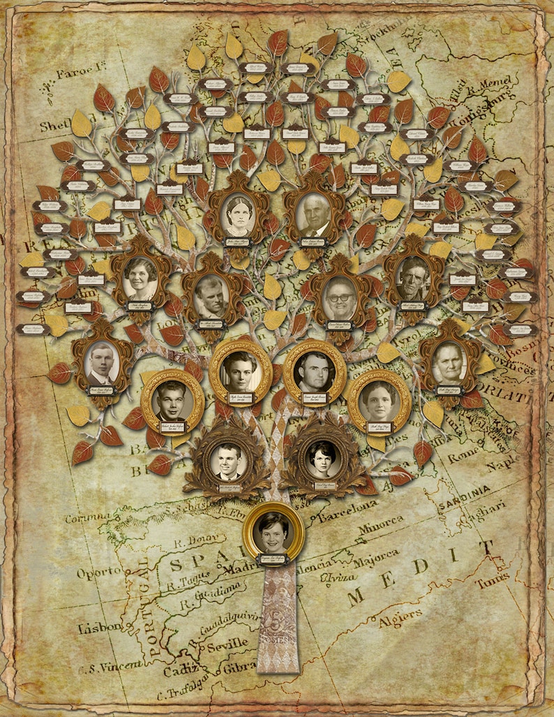 Family Tree Multi Generation Tree with 15 Photos and 48 Etsy