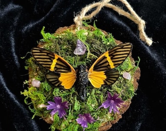 Cicada Wall Hanging with Amethyst & Rose Quartz – Moss Covered Wood, Gothic Nature Decor, Witchy Folk Art, Oddities Display