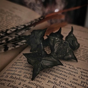 Könnte beinhalten: Eine Ansammlung dunkler, stacheliger, sternförmiger Objekte, möglicherweise Dekorationselemente, auf den Seiten eines alten Buches angeordnet. Das Bild hat eine Vintage-Ästhetik mit verschwommenem Hintergrund.