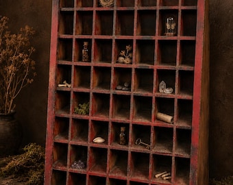 Wooden Curiosity Cabinet | Oddities Display Shelf | Specimen Cabinet 33"