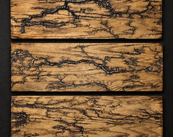 Raven’s Path Lichtenberg Wood Triptych | Fractal Burn Wall Art