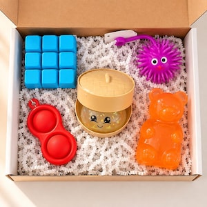 May include: A cardboard box containing a blue nine-square grid fidget toy, a purple spiky ball with eyes, a red two-bubble silicone fidget toy, a beige lidded container holding a glittery face-printed sphere, and an orange bear-shaped toy.