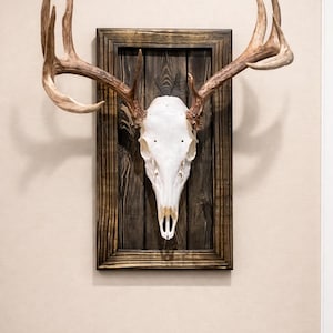 Handmade Deer Head Euro Mount Plaque