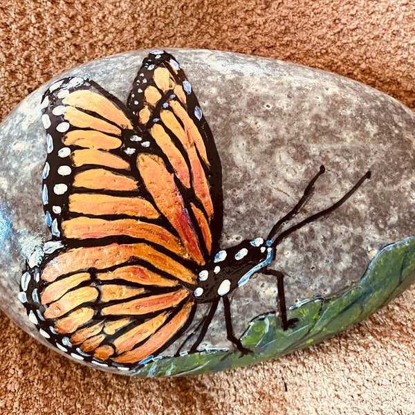 Mr Butterfly rock