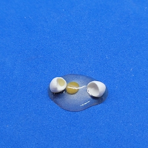 May include: A miniature, broken eggshell with a golden yolk, resting on a clear, glue-like substance. The eggshell is white, and the background is a solid, bright blue.