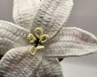 Crochet Lily Flower | Soft Handmade Flower | Gift For All Age's | Valentine's Day