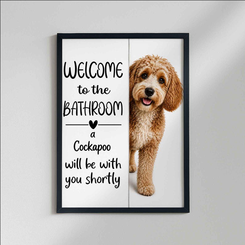 Cockapoo image 6